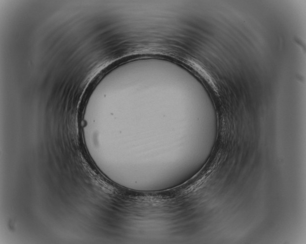 X0000091480980200709131808