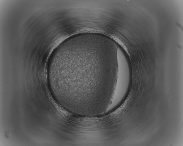 X0000091480981200709131808