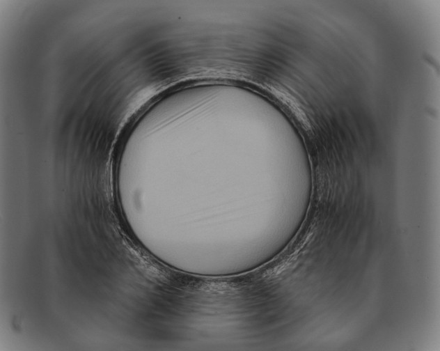 X0000091480982200709131808