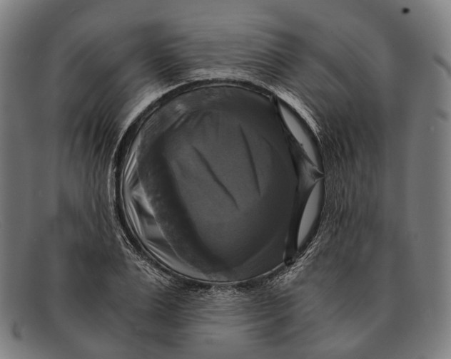 X0000091480983200709131808