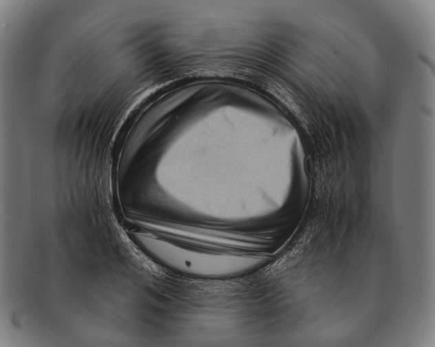 X0000091480984200709131808