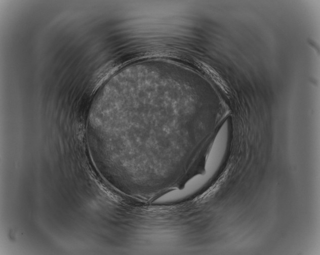 X0000091480985200709131808