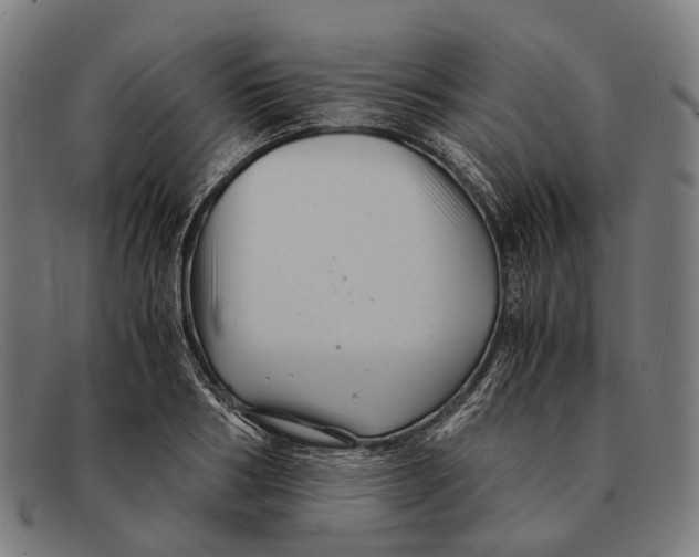 X0000091480986200709131808