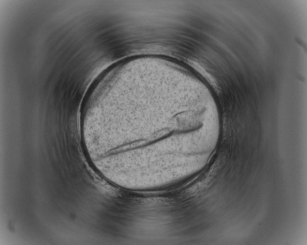 X0000091480988200709131808