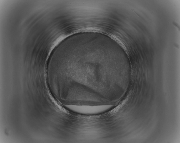 X0000091480989200709131808