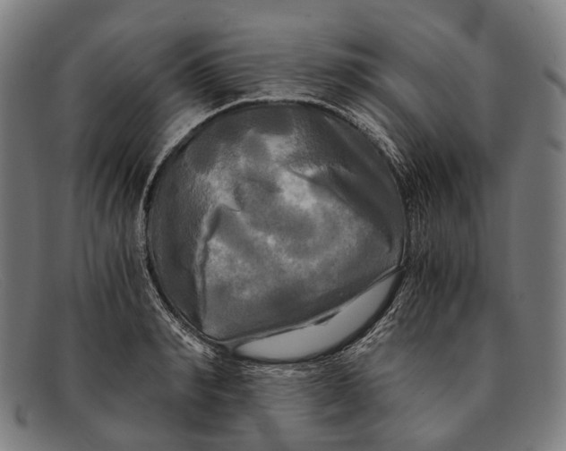 X0000091480990200709131808