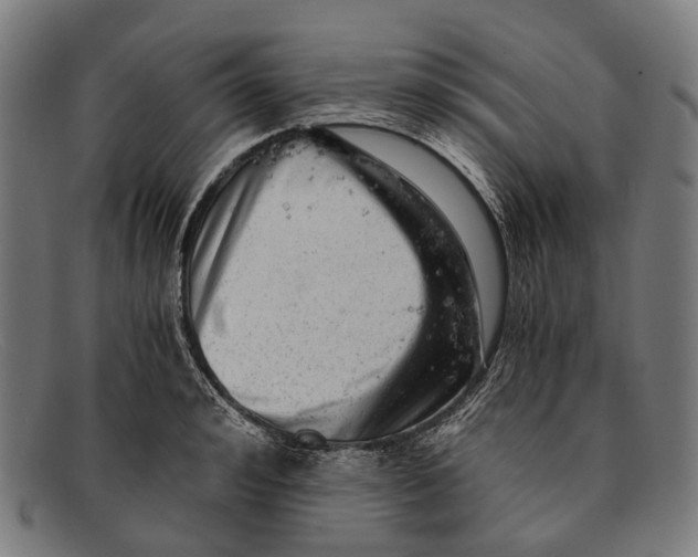 X0000091480992200709131808