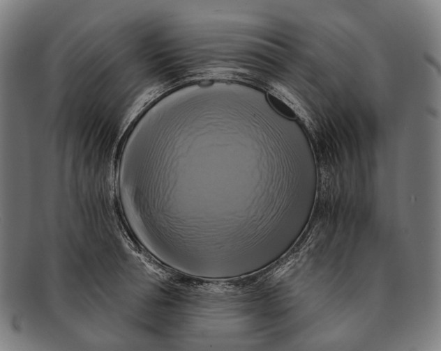 X0000091480994200709131808