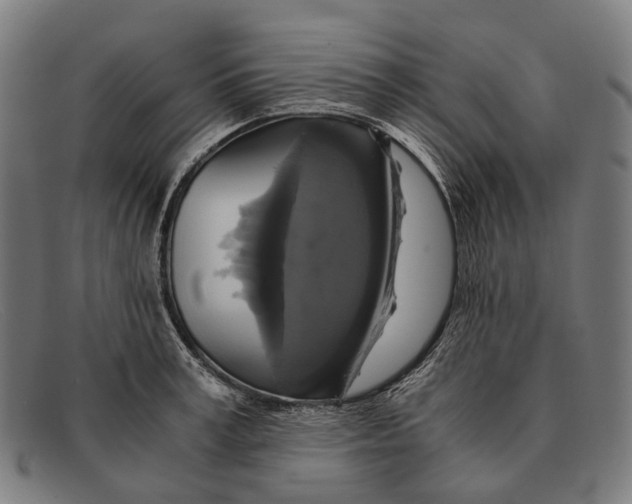 X0000091480995200709131808