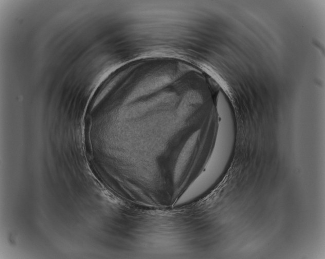 X0000091480996200709131808