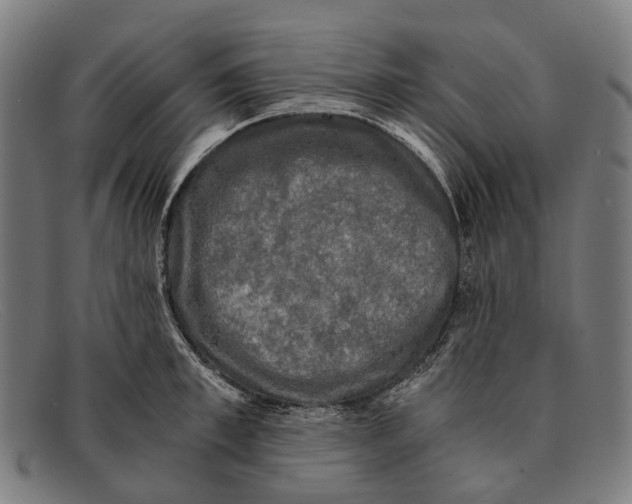 X0000091480997200709131808