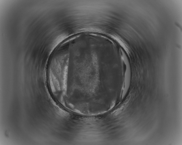 X0000091480999200709131808