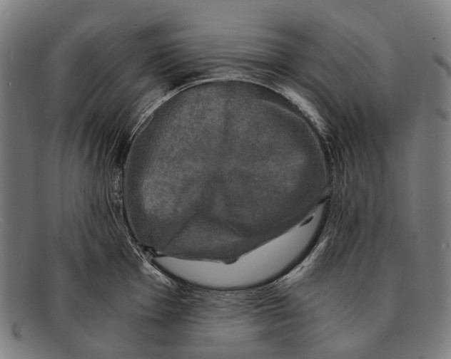 X0000091481001200709131808