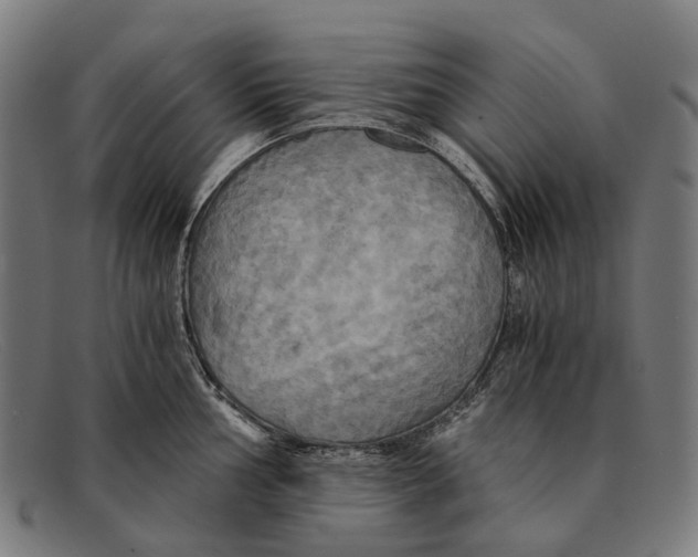 X0000091481002200709131808