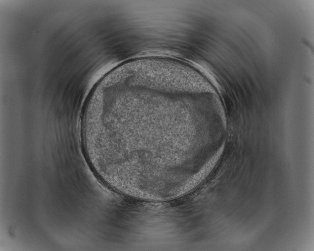 X0000091481003200709131808