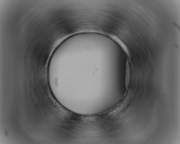 X0000091481004200709131808