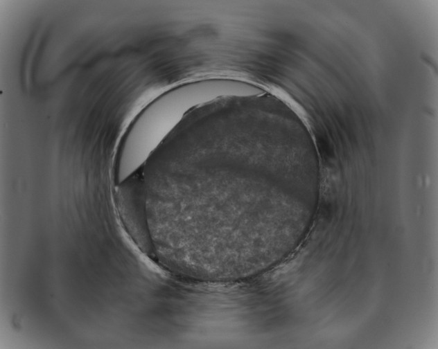 X0000091481005200709131808