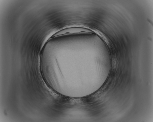 X0000091481006200709131808