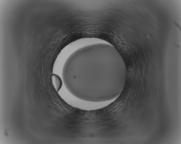 X0000091481009200709131807