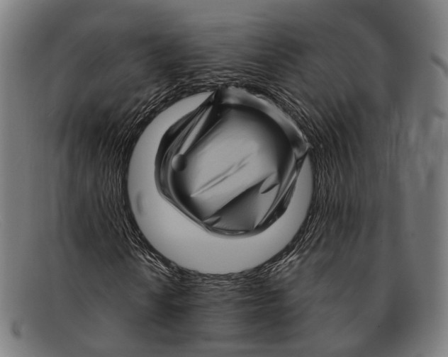 X0000091481010200709131807