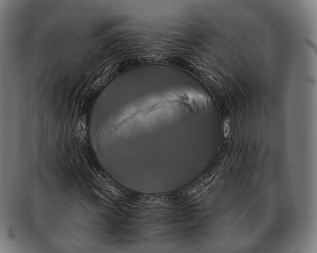 X0000091481011200709131808