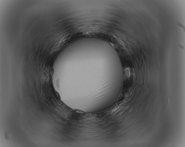 X0000091481012200709131808