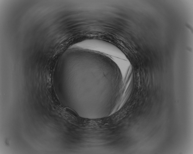 X0000091481013200709131808