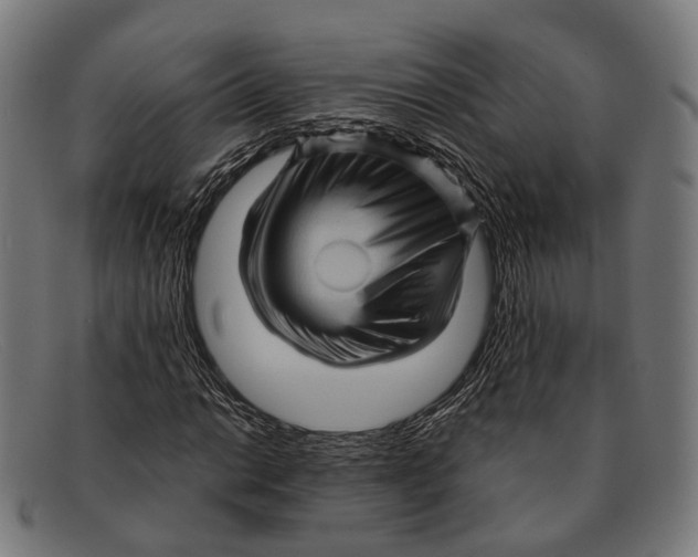 X0000091481014200709131808