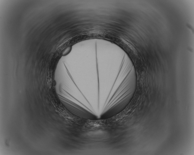 X0000091481015200709131808