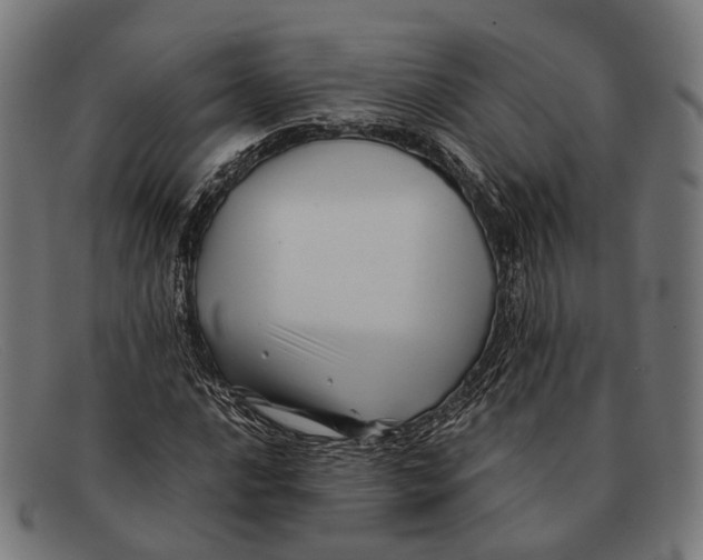 X0000091481016200709131808