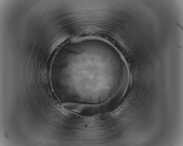 X0000091481018200709131808