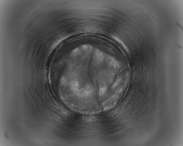 X0000091481019200709131808