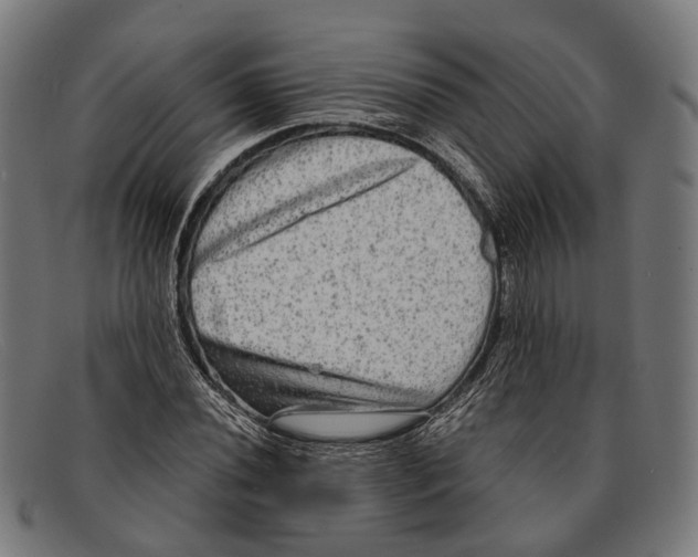 X0000091481020200709131808