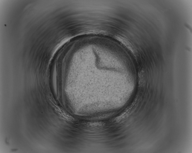 X0000091481021200709131808