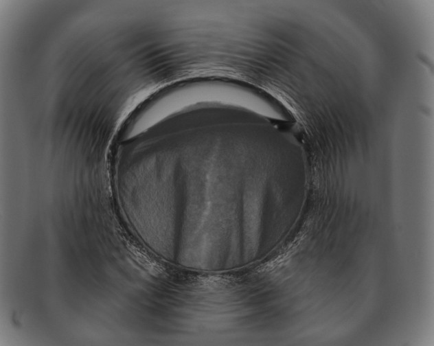 X0000091481022200709131808