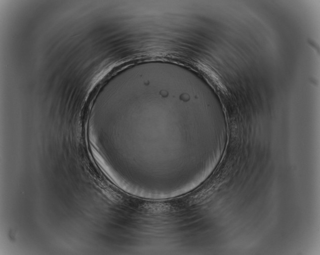 X0000091481023200709131808