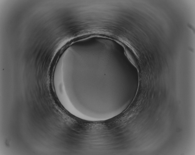 X0000091481024200709131808