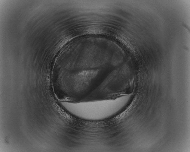 X0000091481025200709131808