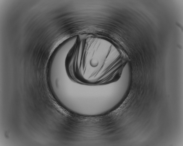 X0000091481026200709131808