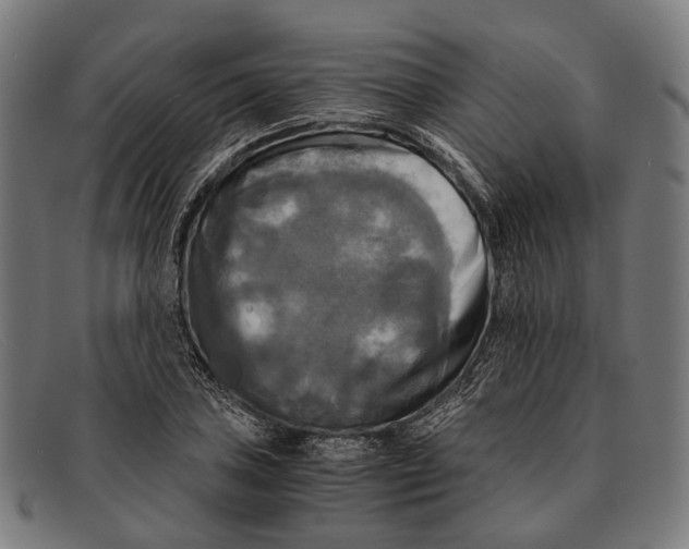 X0000091481027200709131808