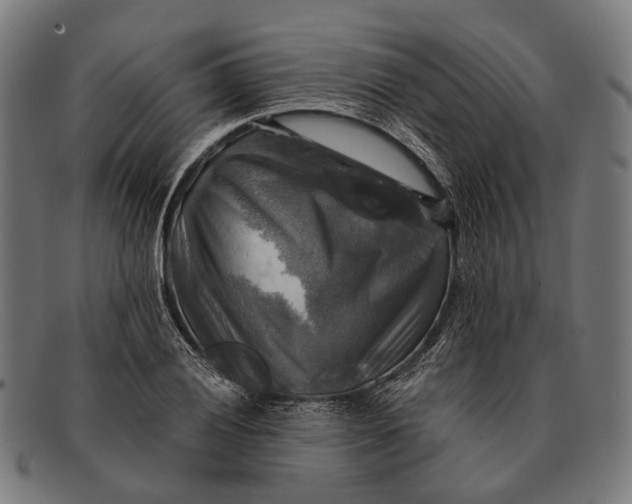 X0000091481028200709131808