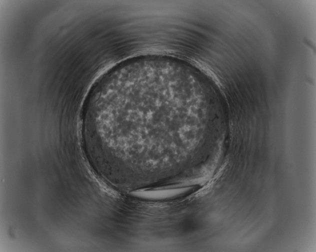 X0000091481029200709131808