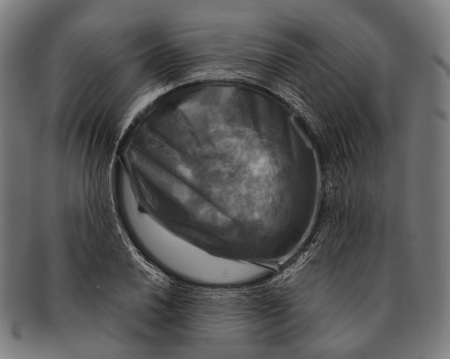 X0000091481030200709131808