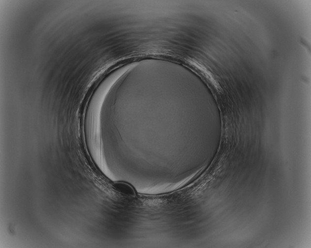 X0000091481031200709131808