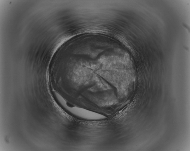 X0000091481032200709131808