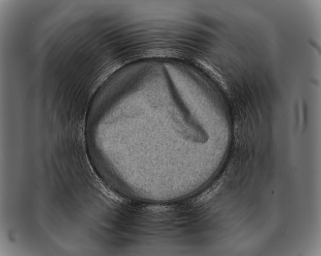 X0000091481033200709131808