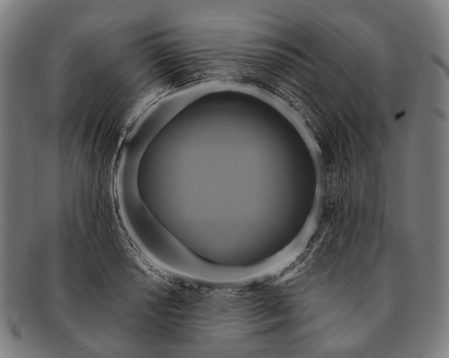 X0000091481034200709131808