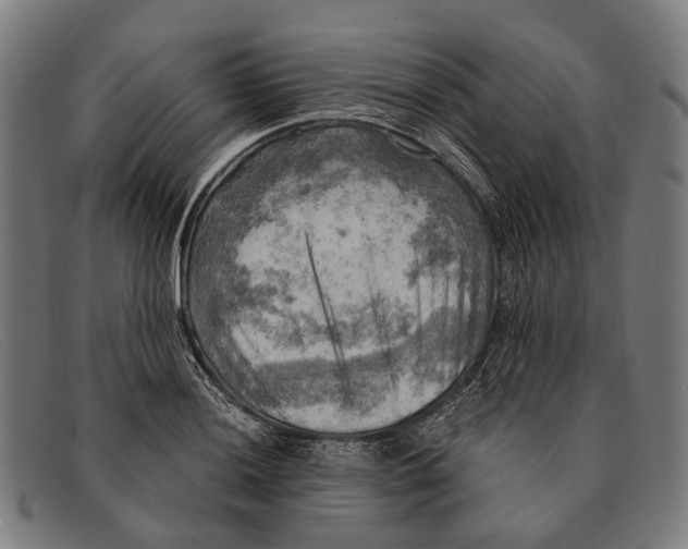 X0000091481036200709131808