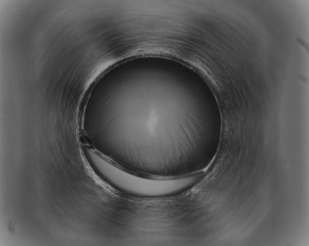 X0000091481038200709131808