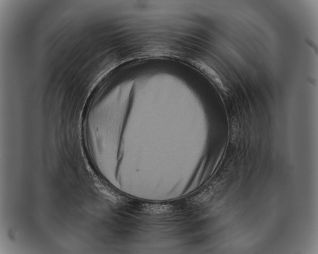 X0000091481039200709131808